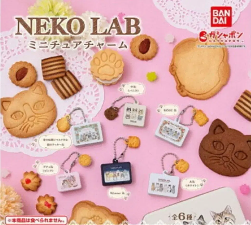 neko lab 고양이 쿠키캔 미니어처 키링 가챠